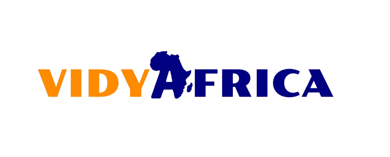 VIDYAFRICA IT Solutions & Service
